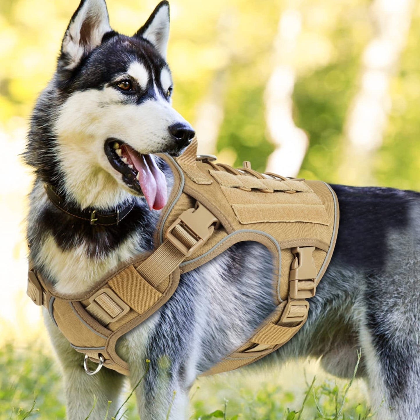 Tactical dog harness (only size M)