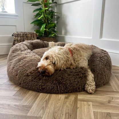 Pet Donut Bed
