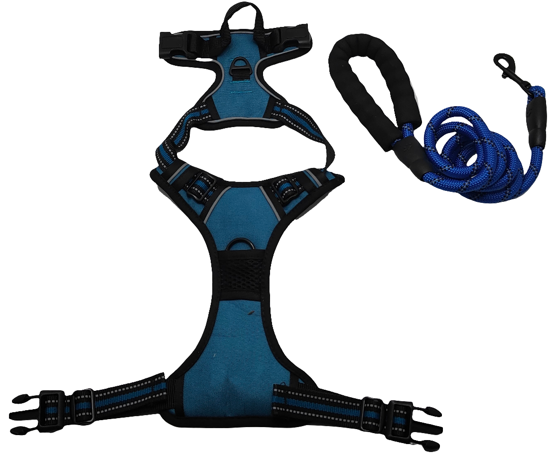 Dog leash and harness (only size M)