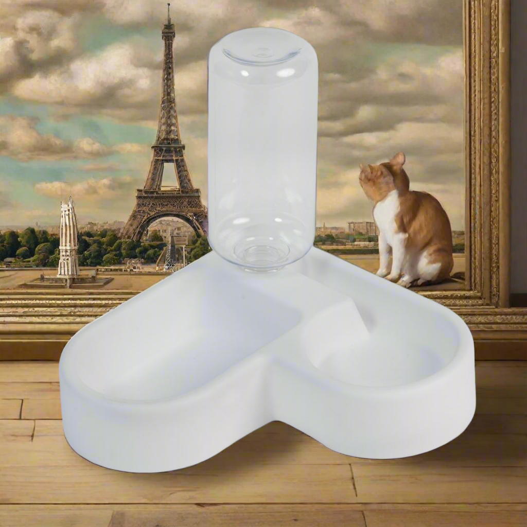 2 in 1 pet Feeder
