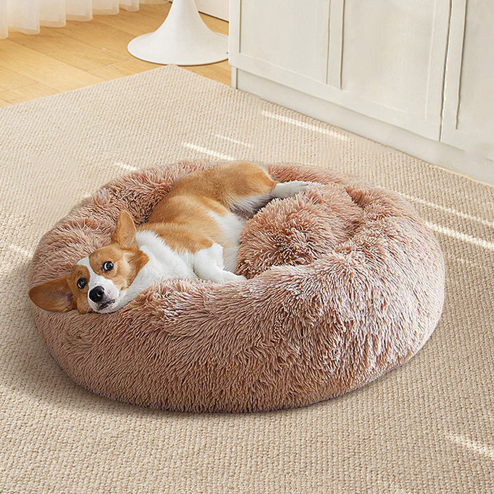 Pet Donut Bed