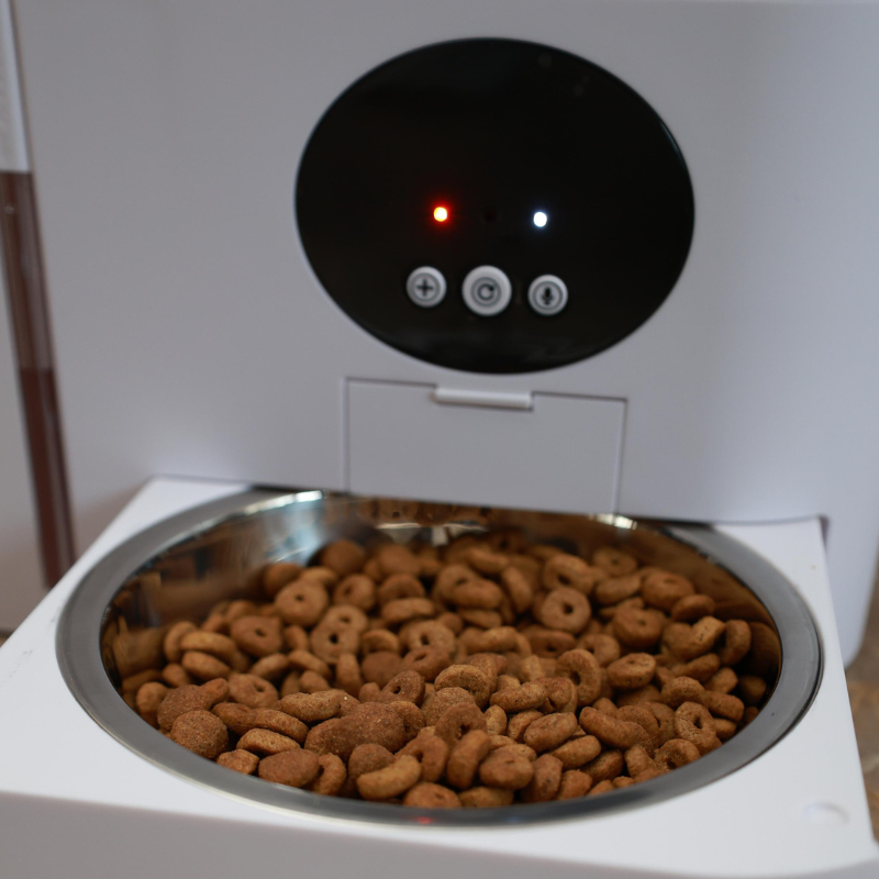 smart pet feeder
