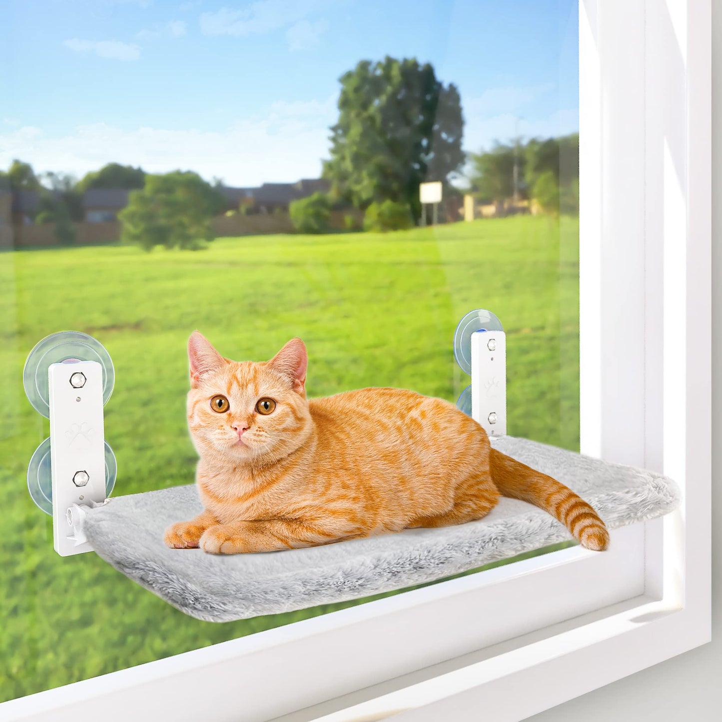 Indoor cat window perch