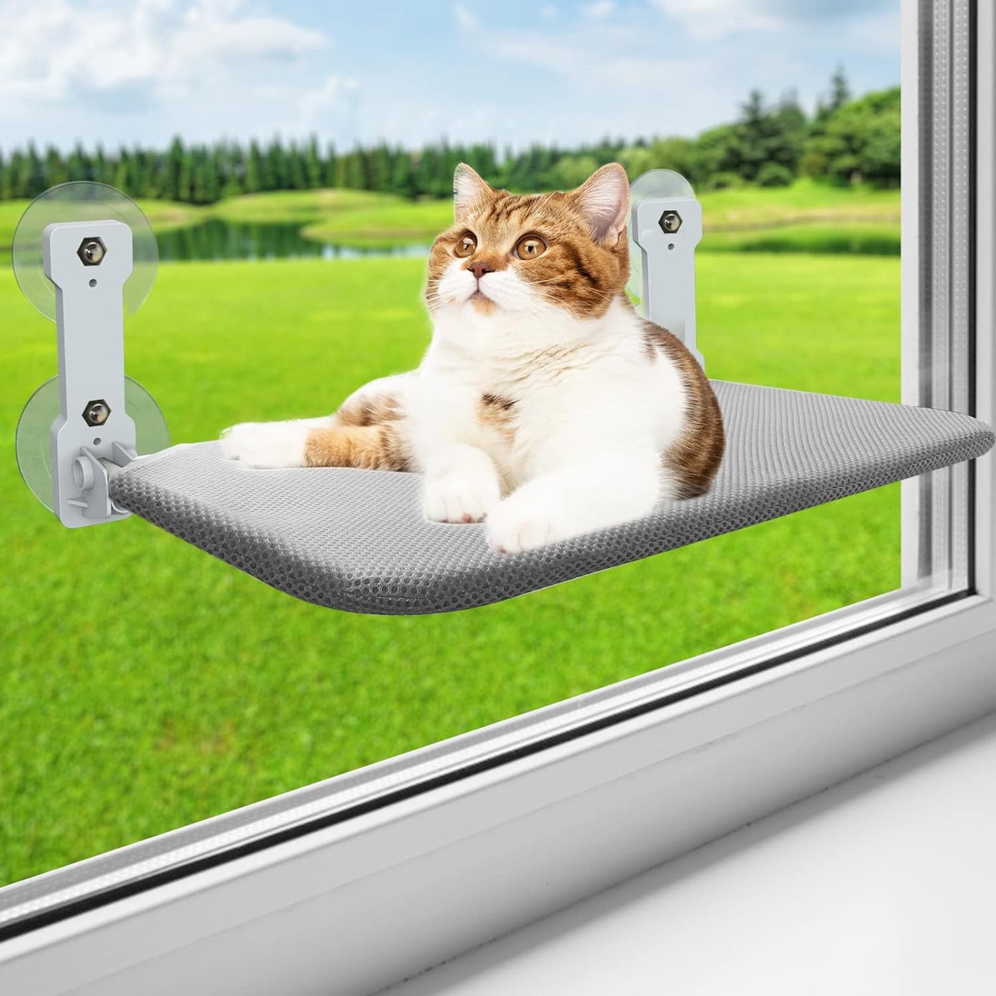 Indoor cat window perch
