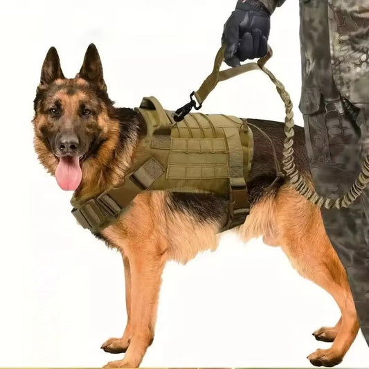 Tactical dog harness (only size M)