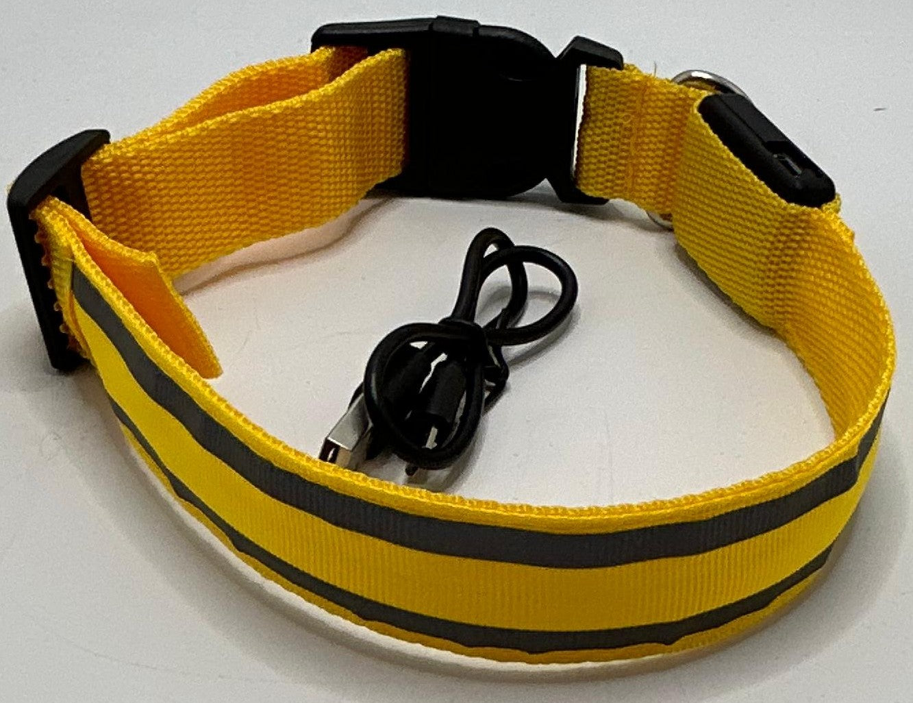 Led dog collars