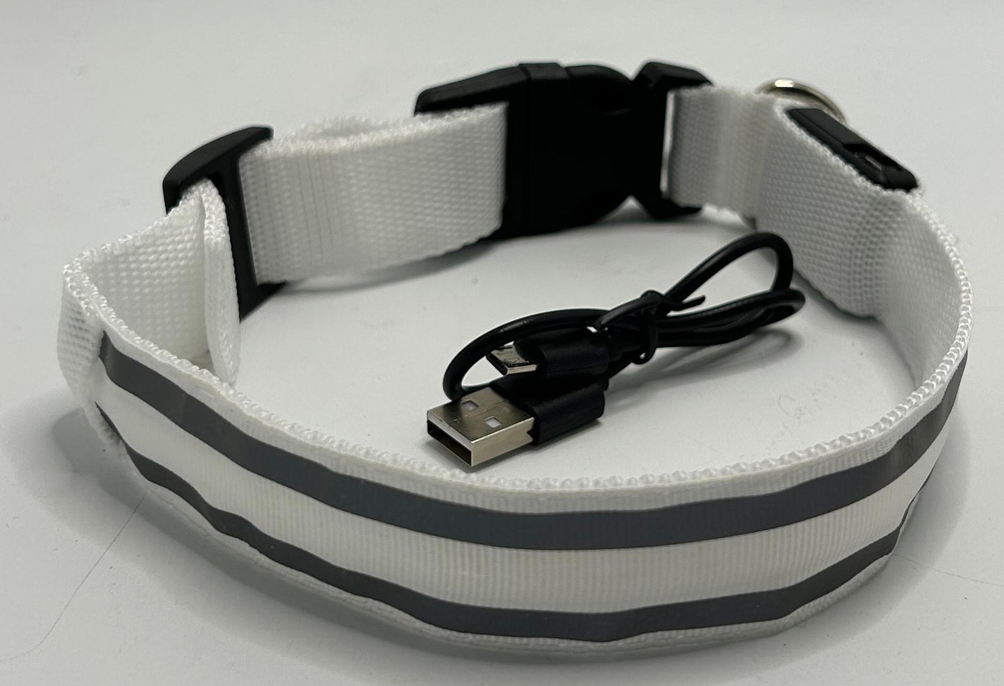 Led dog collars
