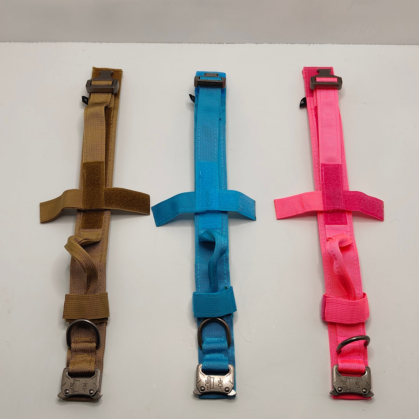 Dog collars