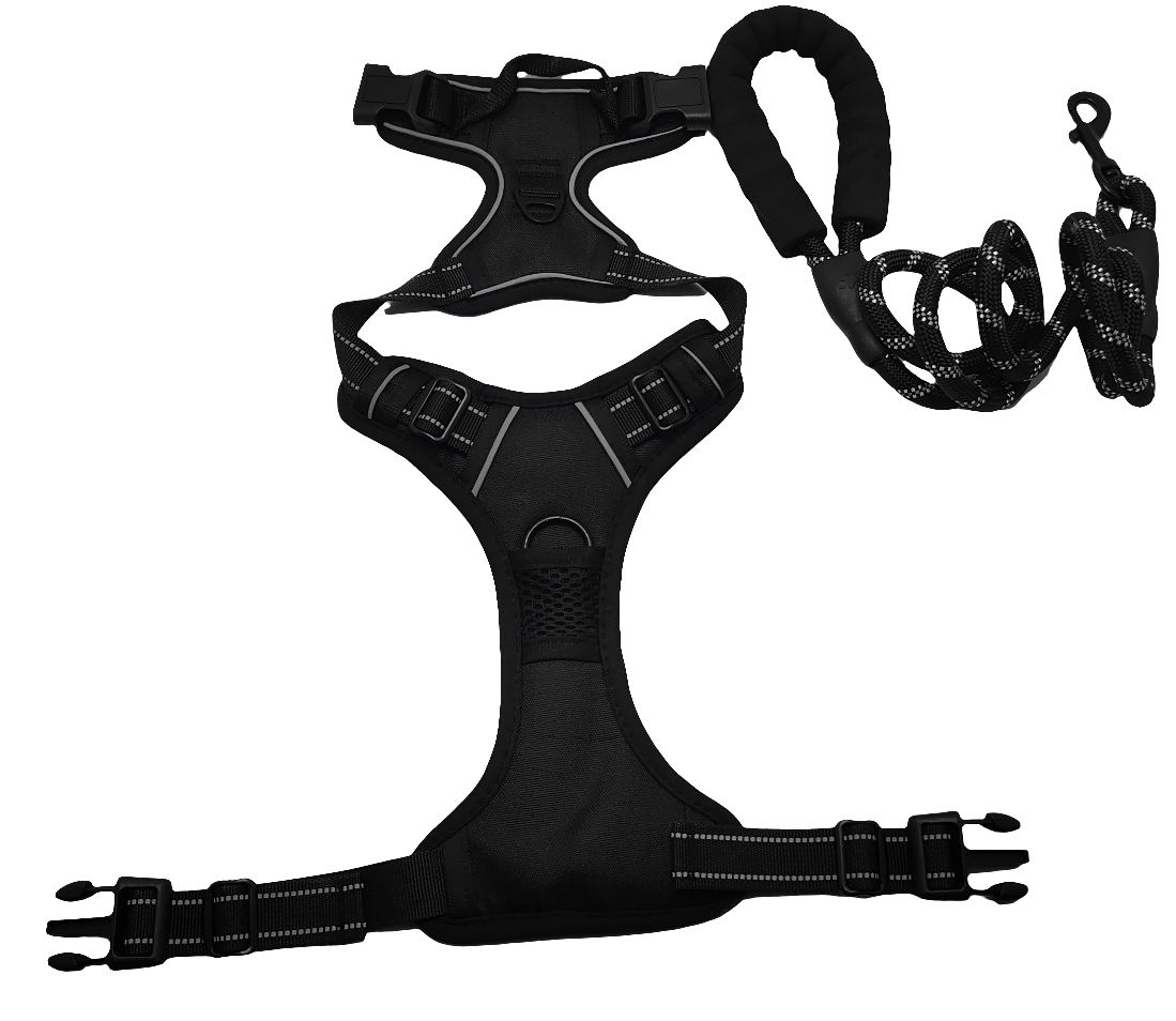Dog leash and harness (only size M)