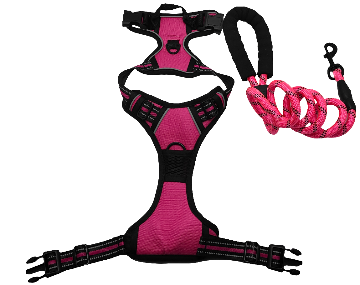 Dog leash and harness (only size M)