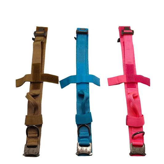 Dog collars