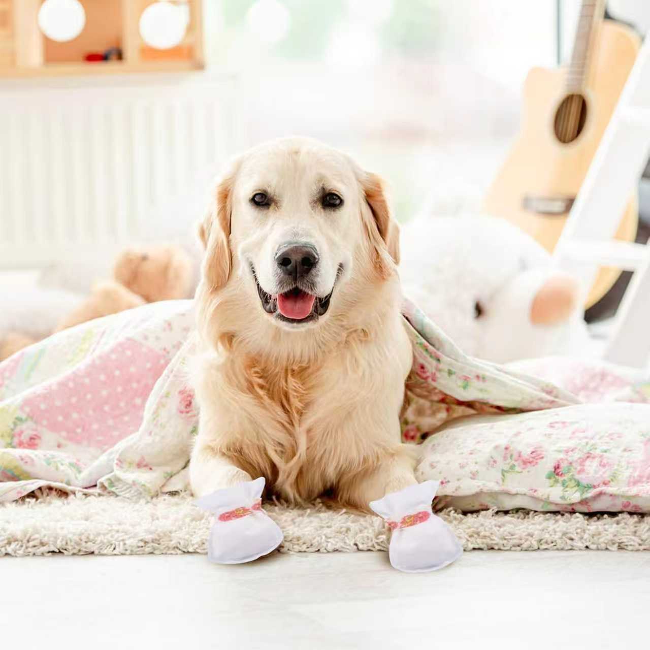 Disposable Pet shoes