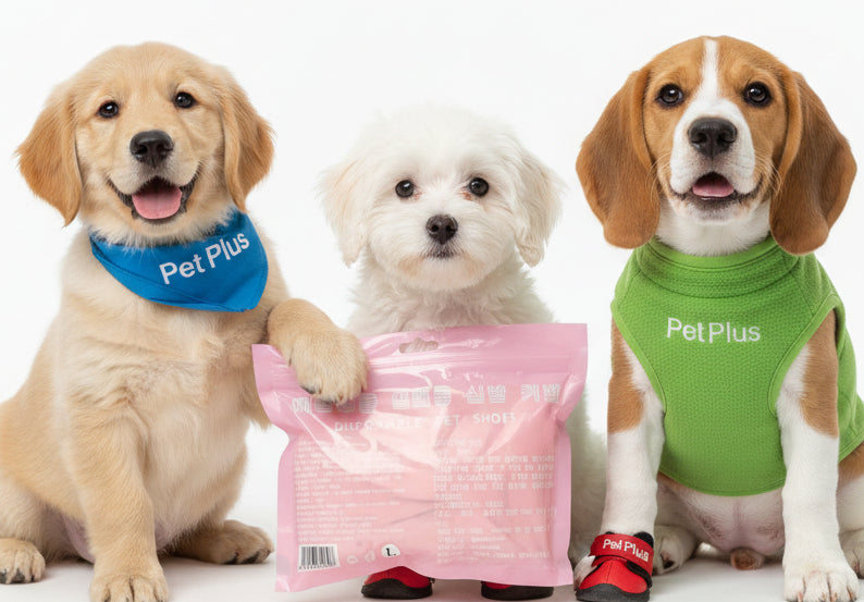 Disposable Pet shoes