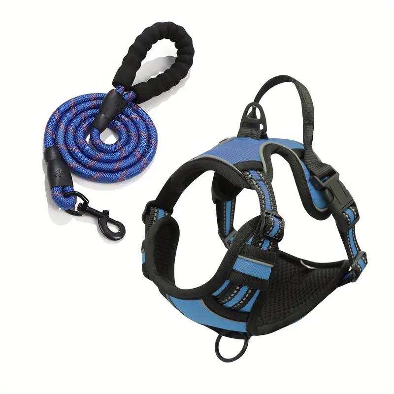 Dog leash and harness (only size M)