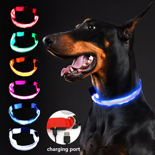 Led dog collars