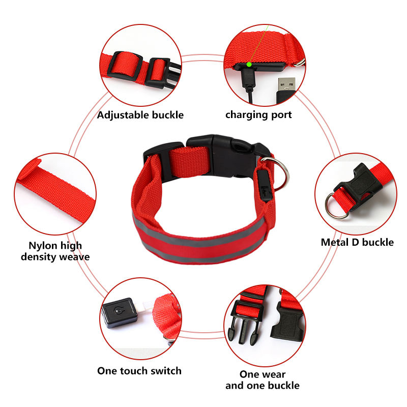 Led dog collars