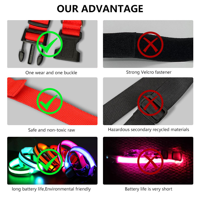 Led dog collars