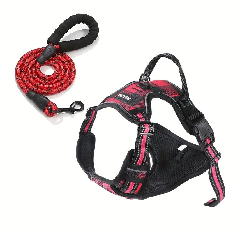 Dog leash and harness (only size M)