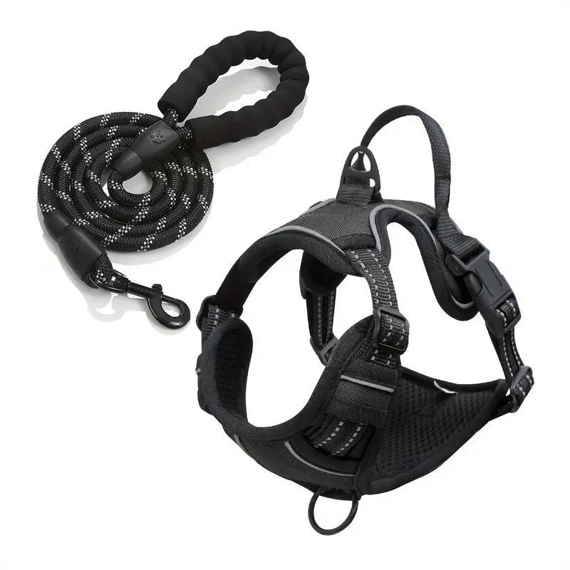 Dog leash and harness (only size M)