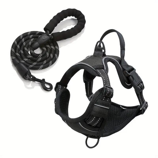 Dog leash and harness (only size M)