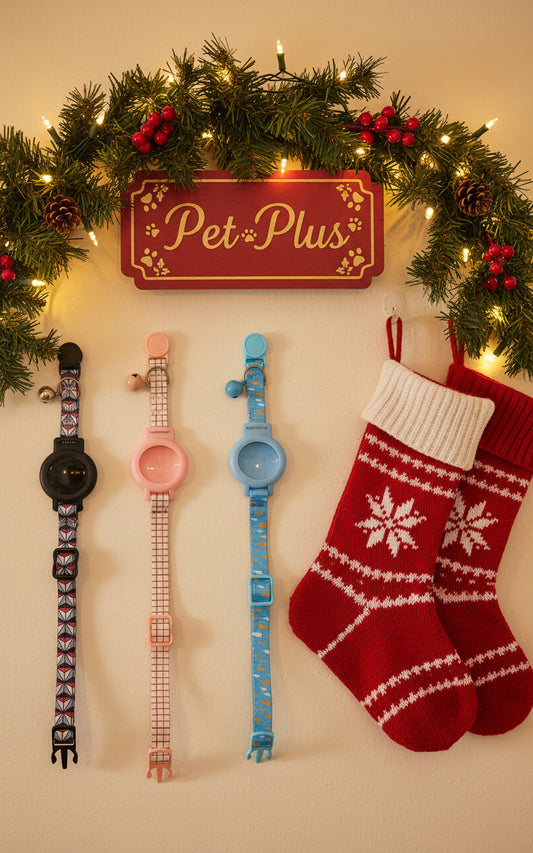 Cat's Christmas bundle